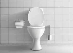 Best Self Cleaning Toilets