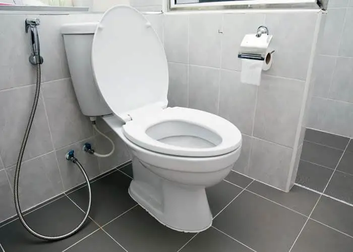 10 Best Skirted Toilets Reviews 2022 Comfortable To Sit