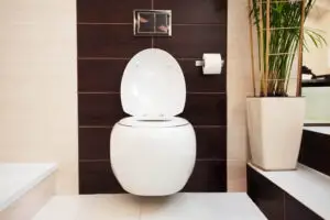 Best wall hung toilet