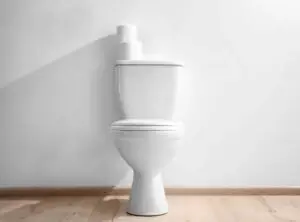 Best Elongated Toilets